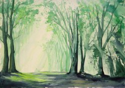 2006-07 wald im gegenlicht
